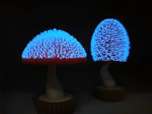 绒毛蘑菇