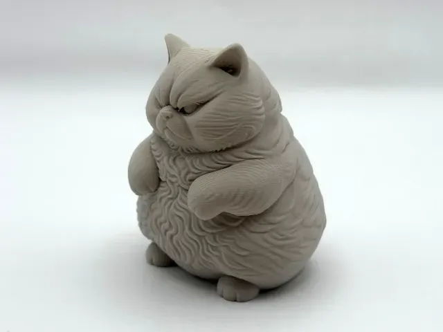 Chonky Furball — Фото 3 из 5