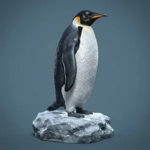 Emperor Penguin