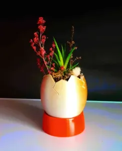 Egg-Shaped Mini Planter for Succulents and Plants