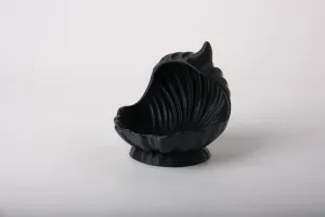 Elegant Shell Jewelry Holder