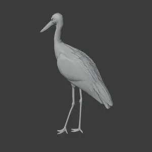 Stork