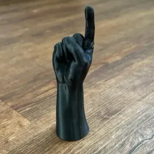 Hand index finger