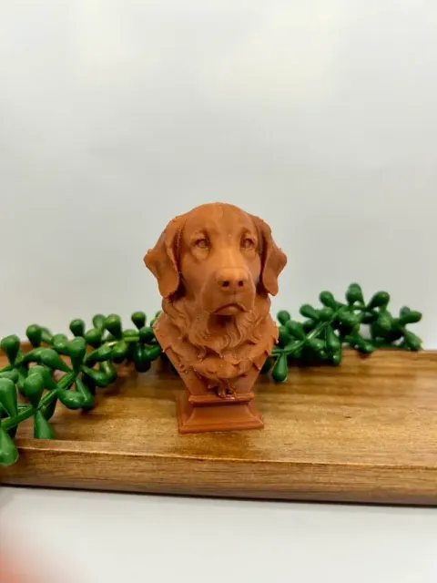 Golden Retriever Bust dog — Фото 4 из 4