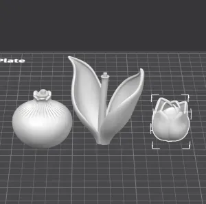 Tulip Bulb Decor | Spring Flower Display