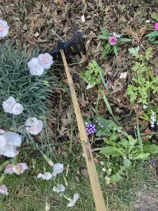 Garden rake