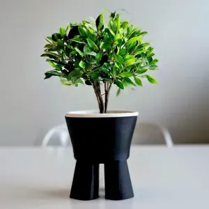 THE BOLD - PLANTER / FLOWER POT