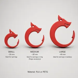 Dragon Circle Accessories – Earrings, Ring & Necklace