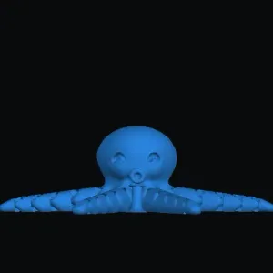 octopus