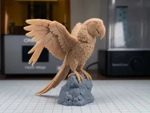 Macaw