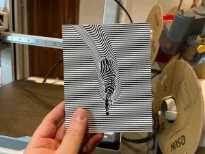 Hueforge Zebra Illusion