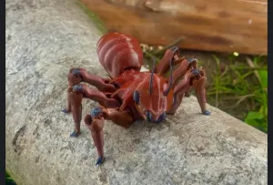 Flexi Articulated Ant