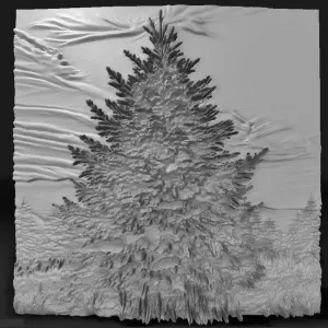 fir tree