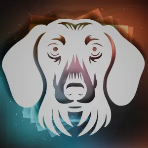 Dachshund