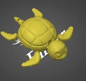 turtle