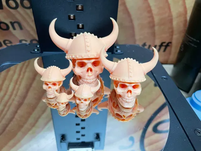Viking Skull and Viking Helmet — Image 3 of 6