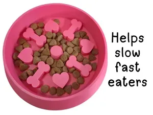 Slow Feed Bowl