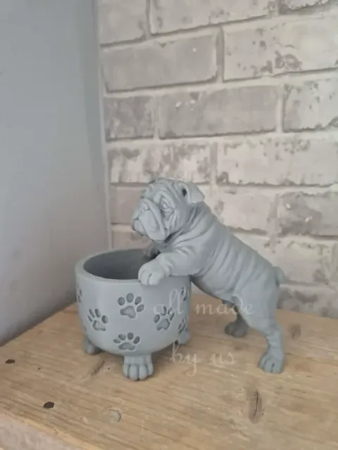 Happy pot English Bulldog — Image 2 of 5