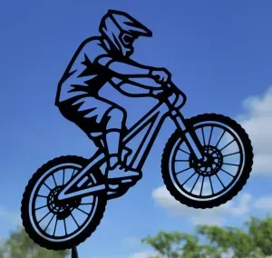 Mountain Bike Rider 2D Wall Art
