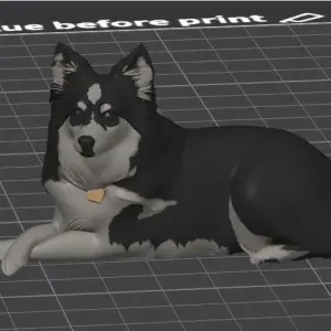 Sheltie