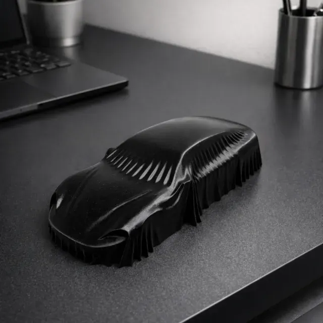 CAR UNDER BLANKET / DESIGNER CAR DECOR — Фото 2 из 8