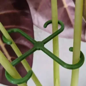 Plant Stem Hook