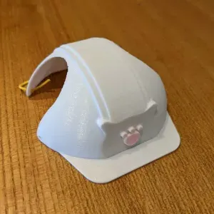 A Hard Hat for Cat