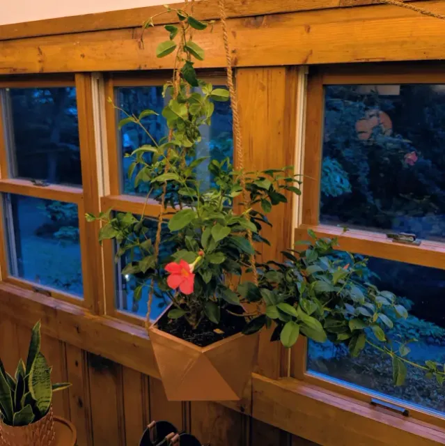 Icosahedron Hanging Planter — Фото 2 из 5