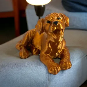Labrador puppy dog