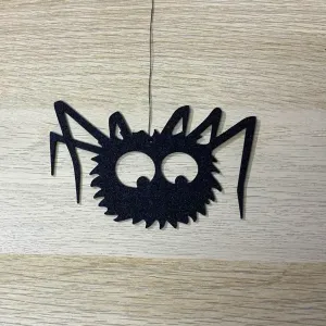 Super hairy spider
