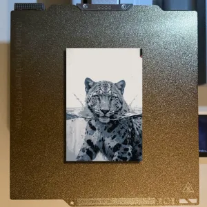 Wild Cat Hueforge
