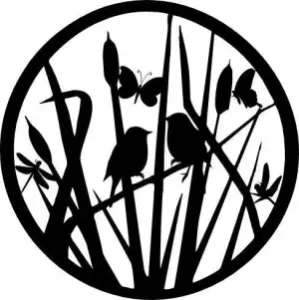 little bird wall art