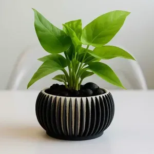 THE ILLUSIONIST - VASE / BOWL / PLANTER (V.2)