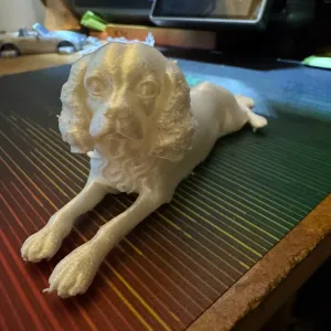 Cavalier
