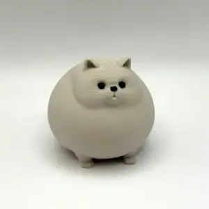 Huge Chonky Kitty