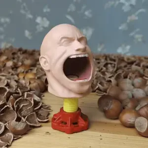 Nutcracker 🐿 the Rock