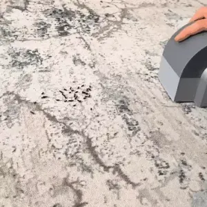HANDHELD CARPET CLEANER