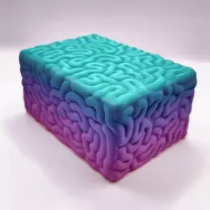 Brain Box