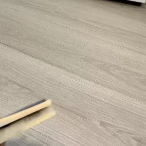 WIND-UP PRANK SPIDER
