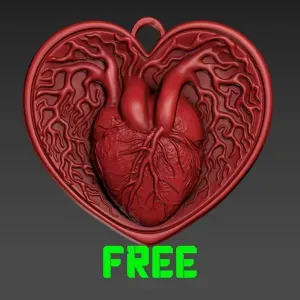 Free Anatomical Heart Pendant