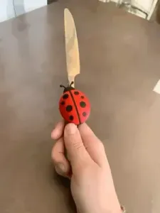 Ladybug Magnet