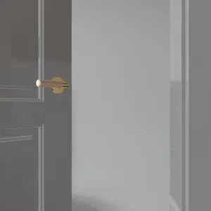 Door Latch