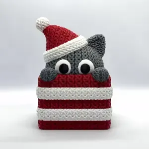 Knitted Cat Gift Box