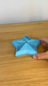 Mega Star Fidget Toy