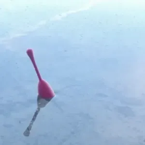 Fishing float