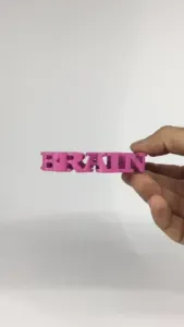 Text Flip - Brain