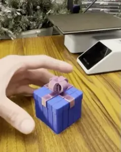 Present Gift Box Sliding Fidget Cubes