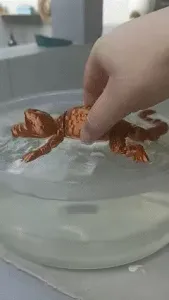 Alligator flex