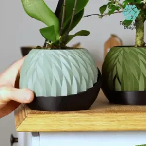 Self-Watering Plant Pot + Geometric Water Level Indicator