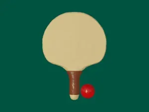 table tennis 🎾